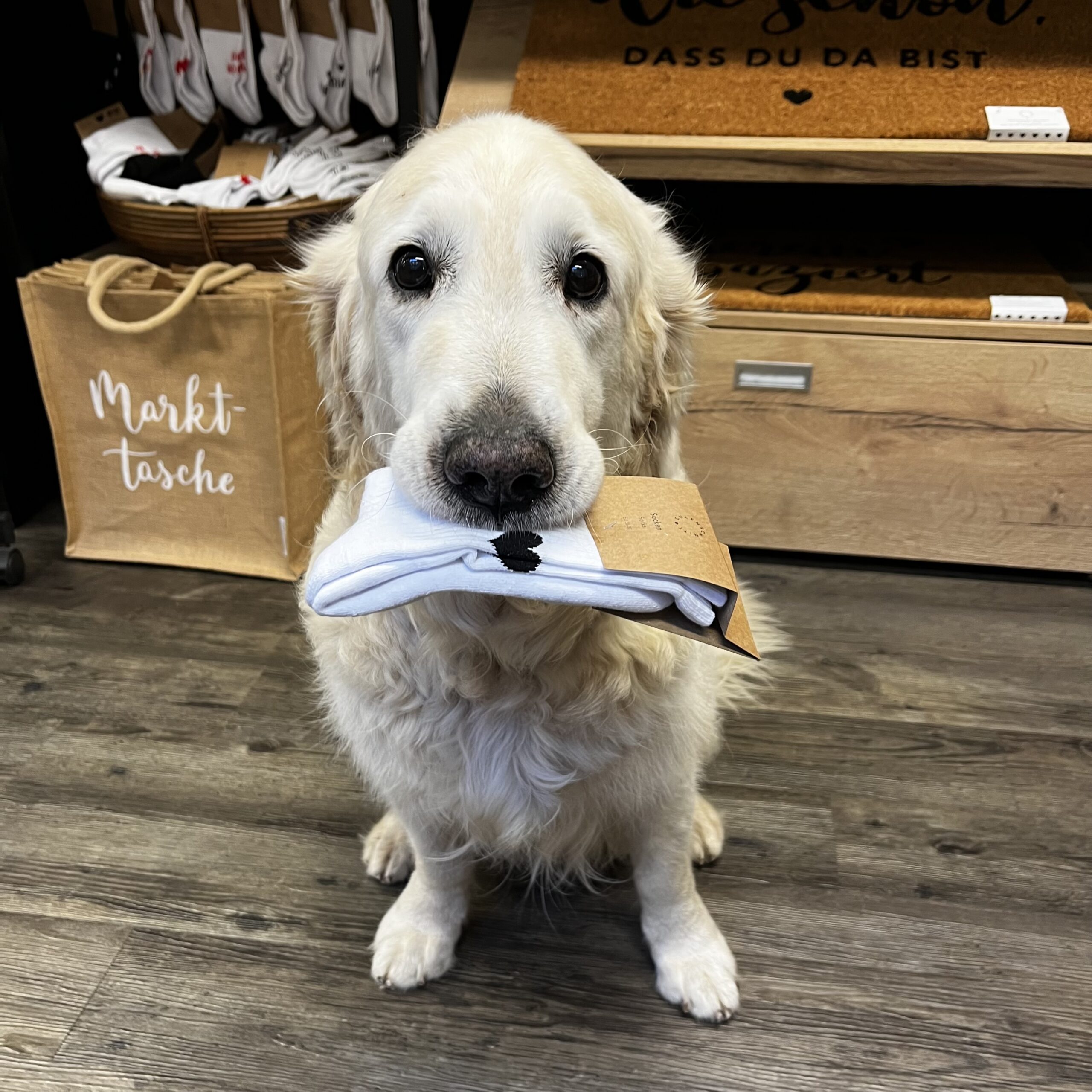 Frauegschichte - Basco